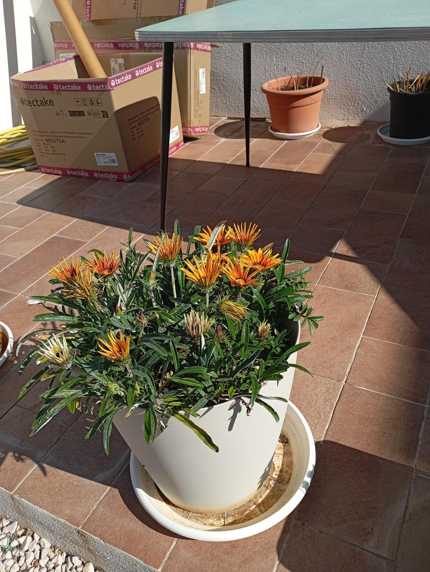 Casa Pipere Appartement Santa Lucia  Buitenkant foto