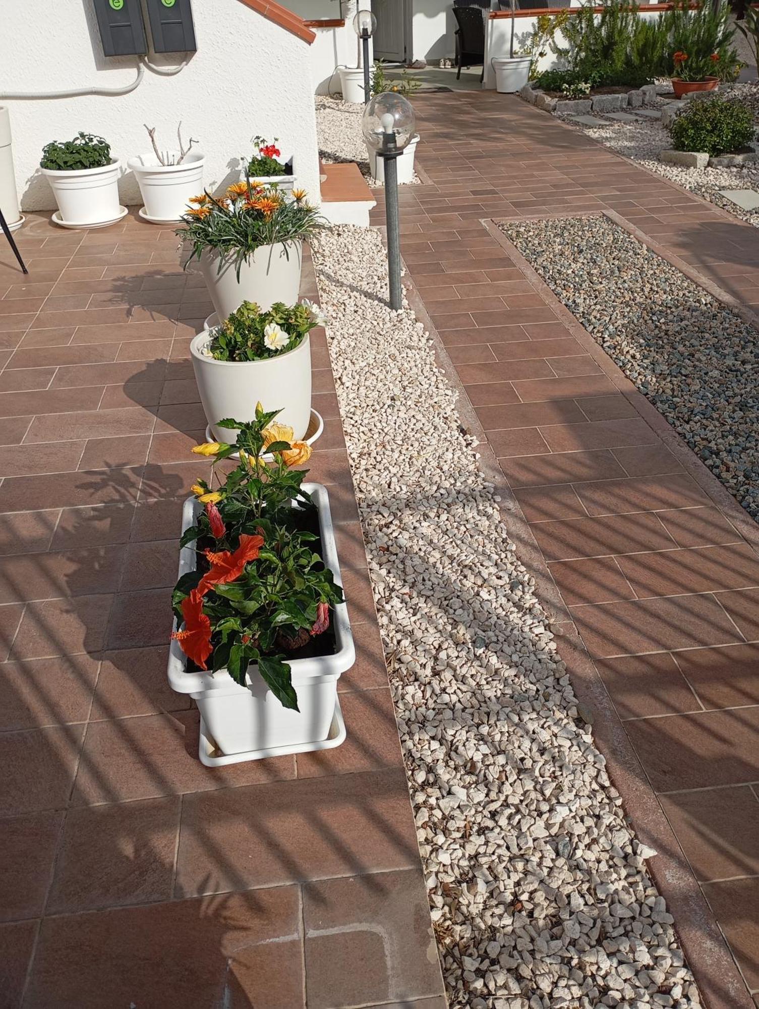 Casa Pipere Appartement Santa Lucia  Buitenkant foto